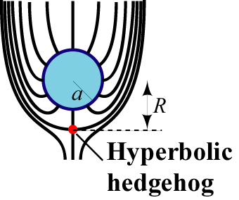 Figure 7 Schematic of the director profile around a water droplet in a nematic. Note the director emerges perpendicular to the droplet surface. Below the droplet is a point defect called a hyperbolic hedgehog. The director changes direction so that is aligned along the vertical axis far from the droplet. This configuration is essentially the same as that of the electric field when a conducting sphere is placed in a uniform electric field.