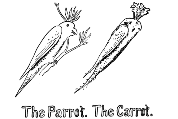 two line drawings above the words "The Parrot. The Carrot." The two drawings look remarkably alike.