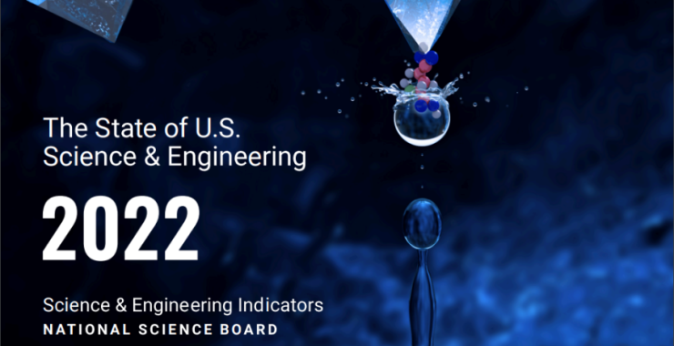 Cover image for NSF report