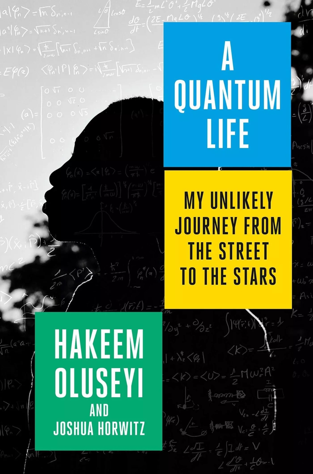 Book cover of A Quantum Life