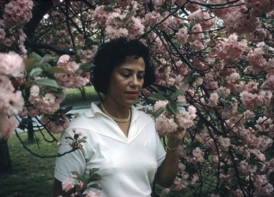 Lia Telegdi with Cherry Blossoms