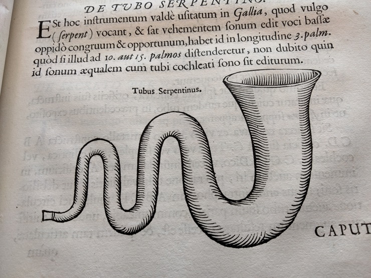a serpent-shaped wavy tuba