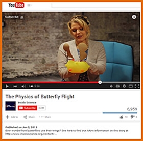 The Physics of Butterfly Flight VIDEO