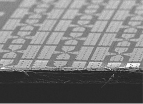 An array of microwave silicon transistors sitting on a wood-derived CNF substrate. Credit-Jung-Hun Seo, Shaoqin Gong and Zhenqiang Ma/University of Wisconsin-Madison 