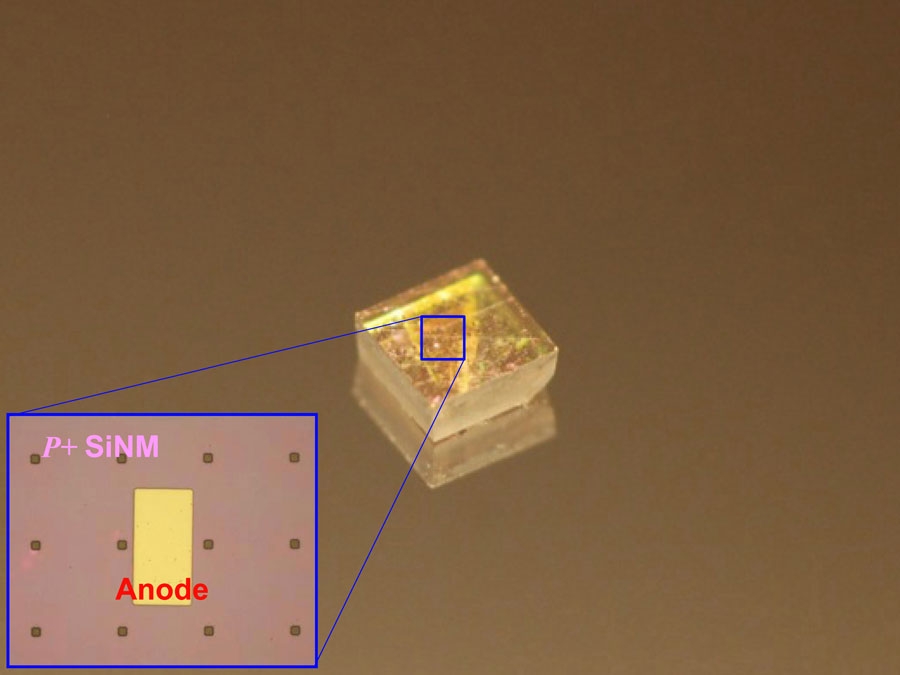 Optical image of a diode array on a natural single crystalline diamond plate