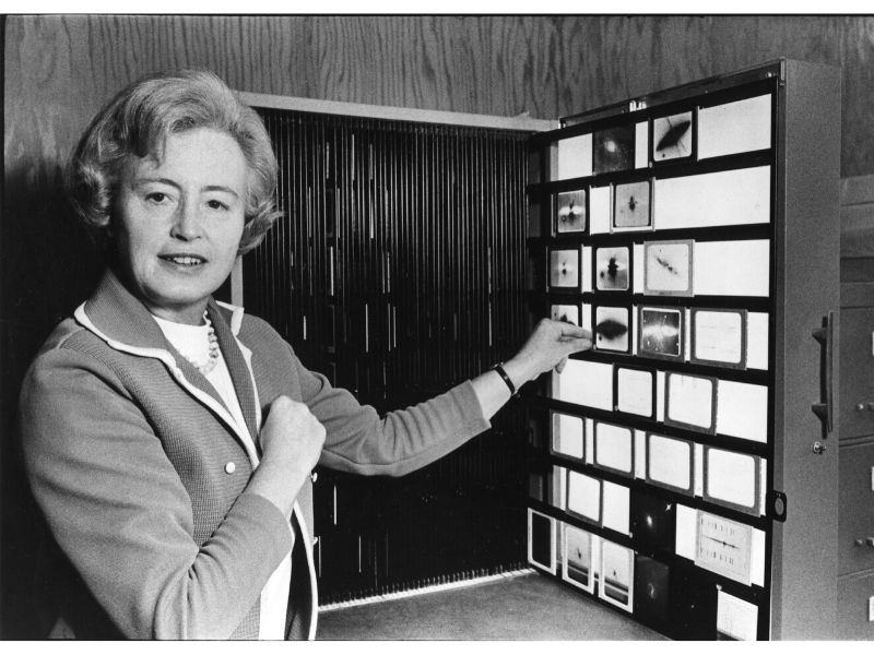 Portrait of E. Margaret Burbidge viewing astronomical slides at the American Astronomical Society (AAS) meeting, 1980.